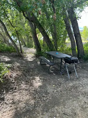 a picnic table and a grill in a park with trees at #Y2 Sage & Wildflower Yurt in Drumheller