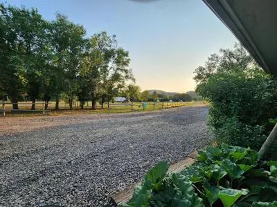 a gravel road with a fence and some trees at #Y7 Whole New World Yurt in Drumheller
