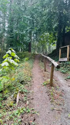 a dirt road with a wooden bench in a forest at Cabin in the woods @ Cultus Lake in Chilliwack