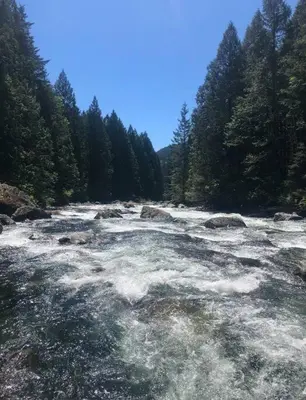 a river with rapids in the middle of a forest at Gorgeous 2 Bedrooms Suite Private entrance with patio-Free Parking in Maple Ridge District Municipality