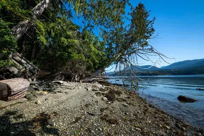 a rocky shore with trees and a body of water at Family, Pet Friendly Sechelt Waterfront Home, Beach Access, Sleeps 14 in Sechelt