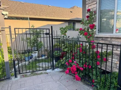 a fence with pink flowers in front of a house at Lakeview 2-bed 2-bath Entire Suite near Summerhill Winery in Kelowna