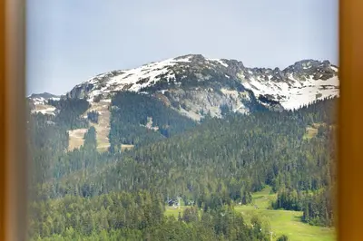 a mountain covered in snow and trees in front thereof at Cascade Lodge in Whistler