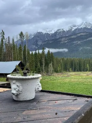 a planter sitting on top of a wooden deck with mountains at Rustic Beaverfoot Lodge in Parson