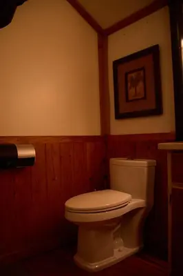 a bathroom with a toilet and a picture on the wall at Rustic Beaverfoot Lodge in Parson