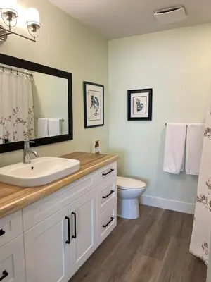 a bathroom with a sink and a toilet at Wellington House in Nanaimo