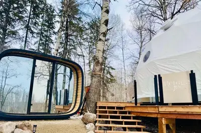 a tent and stairs next to a tree at Refuge Bay's Aer XL Dome Luxury Off Grid Escape in Cherhill