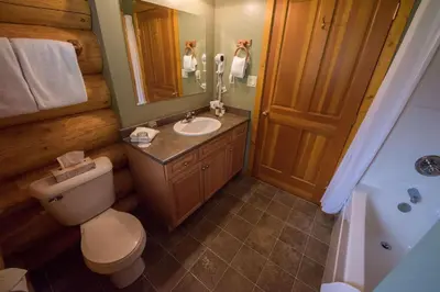 a bathroom with a toilet and a sink at Alpine Meadows Resort in Clearwater