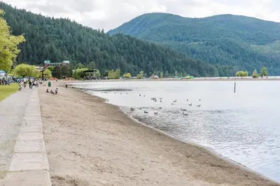 a beach with a bunch of birds in the water at Brand New Penthouse with Lake and Mtn Views in Harrison Hot Springs