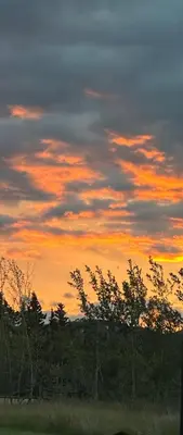 a sunset with trees and clouds in the sky at Dry Log Cabin with Mountain Views in Upper Laberge