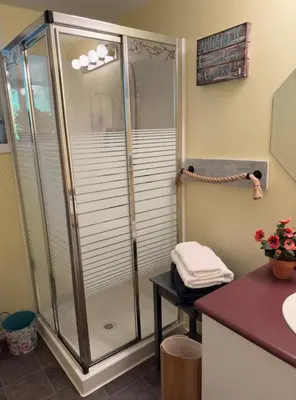 a shower in a bathroom with a counter and a sink at Gabriola Island B&B By The Sea in Gabriola