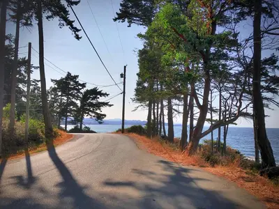 a dirt road with trees on the side of a lake at Gabriola Island B&B By The Sea in Gabriola