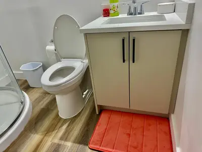 a bathroom with a toilet and a sink and a red mat at Farmhouse in Alberta in Duffield