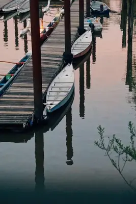 a group of boats tied to a dock in the water at Fort Langley Homestead in Maple Ridge District Municipality