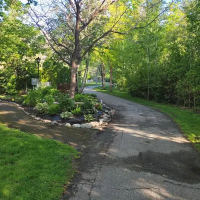 a winding road with a tree in a park at Premium Deluxe suites 201 in Peachland