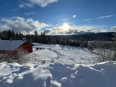 a snow covered field with a barn in the background at beard's creek bed and breakfast in Parson