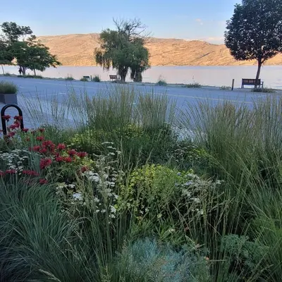 a garden with flowers and a lake in the background at PeachView Deluxe Suites 301 in Peachland