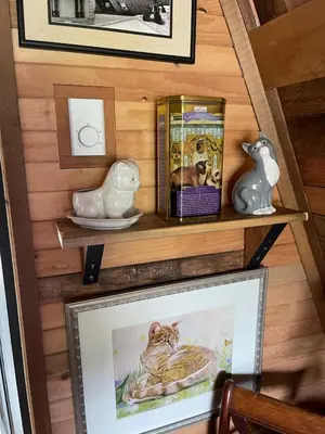 a picture frame on a shelf with a picture of a cat at Bratty Catty Cabin in Powell River