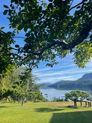 a view of a lake from a park with trees at Bratty Catty Cabin in Powell River