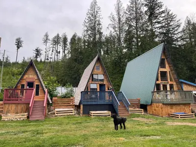 a dog is standing in front of three houses at Shannaghs Sweet Escape in Powell River