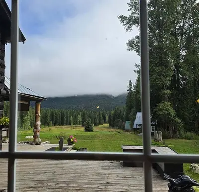 a view of a yard from a window of a house at Rustic Woodland Cabin at Beaverfoot in Parson