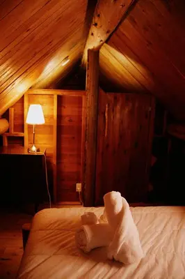 a roll of toilet paper on a bed in a room at Rustic Woodland Cabin at Beaverfoot in Parson