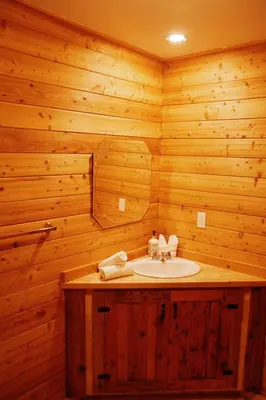 a bathroom with a sink in a wooden wall at Rustic Basic Cabin at Beaverfoot in Parson