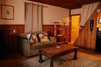 a living room with a couch and a coffee table at Rustic Basic Cabin at Beaverfoot in Parson