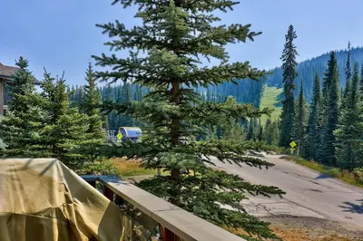 a pine tree on the side of a road at Trappers Landing #30 townhouse in Sun Peaks