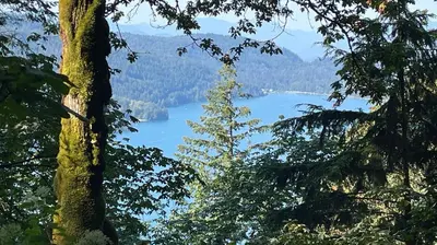 a view of a lake in the middle of a forest at James house J&J Chilliwack in Chilliwack