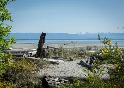 a beach with rocks and a body of water at Windslow Guest Suite at Kye Bay in Comox