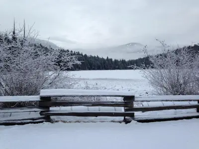 a bench covered in snow next to a snow covered field at #24 Treeline in Whistler