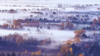 a foggy valley with trees in the fall at 安静社区主楼层豪华主卧套房&独立浴室浴缸 in Coquitlam