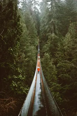 a person standing on a suspension bridge in a forest at The Altitude with Mountain & City Views, Pool & Hot Tub in Vancouver