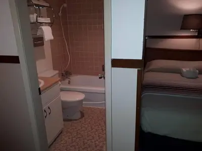 a bathroom with a toilet and a tub and a sink at Falcon Nest Motel in Duncan