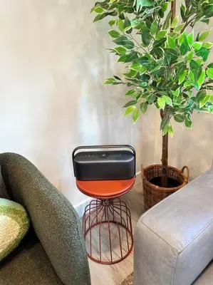 a chair sitting next to a plant next to a couch at T201 Brand NEW Downtown Canmore 3BD & 2BT, BBQ, Free Parking in Canmore