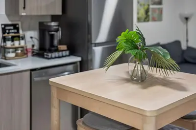 a vase with a plant on a table in a kitchen at NEST- Modern 2BR Basement Retreat in South Surrey in Surrey