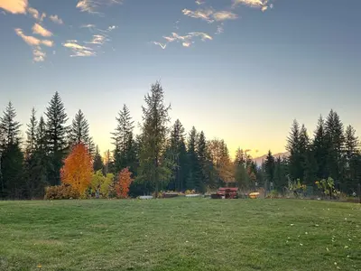 a large field with trees in the background at Cozy cabin in Clearwater