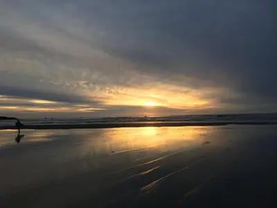 a person walking on the beach at sunset at White Haus 2 - Rainforest heaven close to beaches in Ucluelet