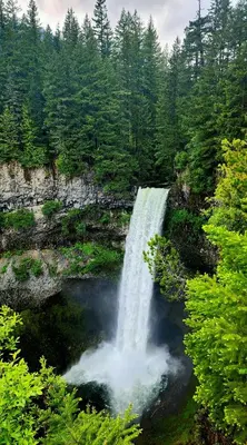 a waterfall in the middle of a forest at Creekside Oasis 4 Beds Pool and Hot Tub in Whistler