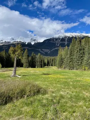 a field with trees and a snow covered mountain at Rustic Beaverfoot Lodge Room N4 in Parson