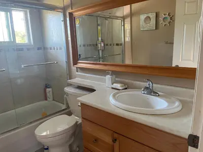 a bathroom with a sink and a toilet and a mirror at Big band house in Burnaby