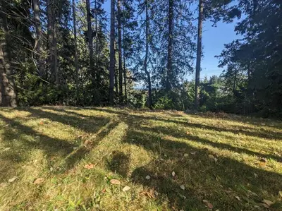 a grassy field with trees in the background at Charming 3 Bedroom Suite in Victoria