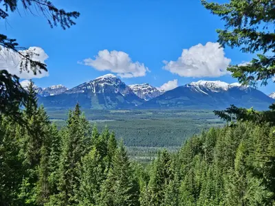 a view of the mountains from the forest at Zest Campers Ltd in Golden