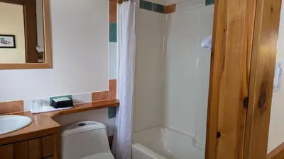 a bathroom with a toilet and a sink and a shower at Seine Boat Inn in Alert Bay