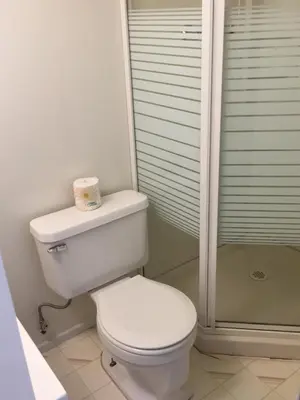 a white toilet in a bathroom with a shower at WhiteTail Suite - Misty River Lodge - in Radium Hot Springs