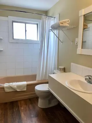 a bathroom with a toilet and a sink and a window at Canterbury Inn in Invermere