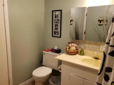 a bathroom with a toilet and a sink and a mirror at Mission Historical Home in Calgary