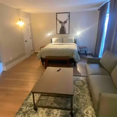 Morden Newly Renovated 1br Flats