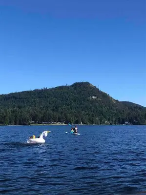 two people and a horse in a lake at Executive 1 Bedroom Lakeview Retreat in Shawnigan Lake
